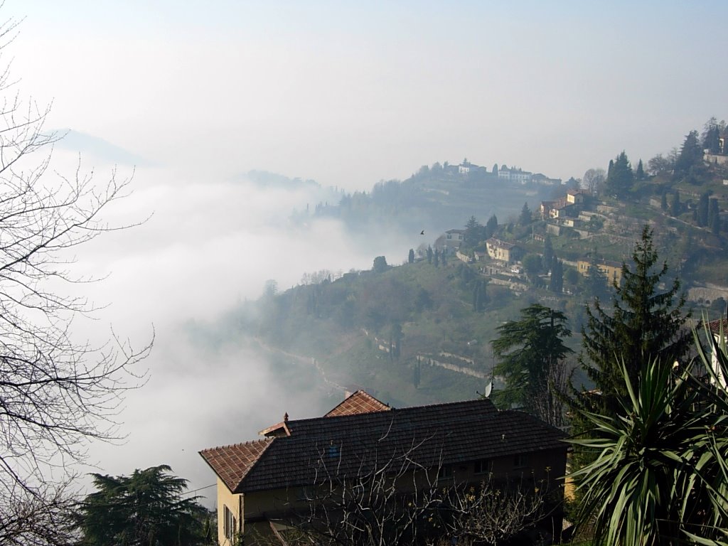 Bergamo